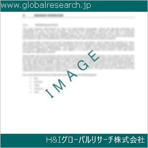 グローバルリサーチ調査資料のイメージ